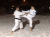 karate0244