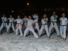 karate0294