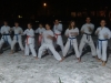 karate0295